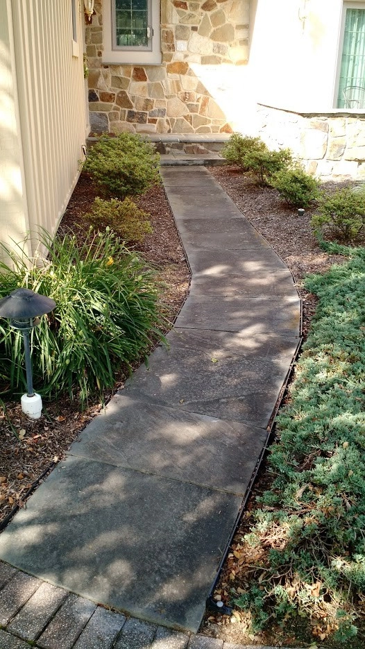 Bluestone Walkway and Terrace by Pickel Landscape Group - Photo 5