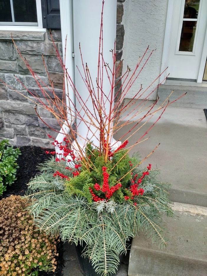 Winter Planters by Pickel Landscape Group - Photo 12
