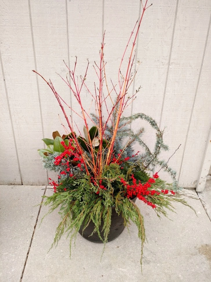 Winter Planters by Pickel Landscape Group - Photo 17