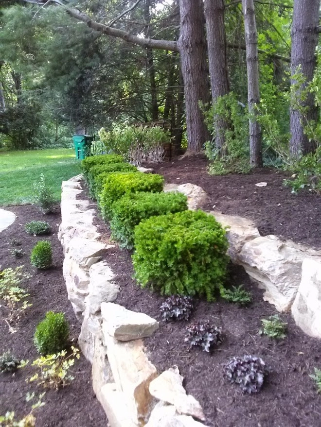 Back Yard Renovation by Pickel Landscape Group - Photo 7
