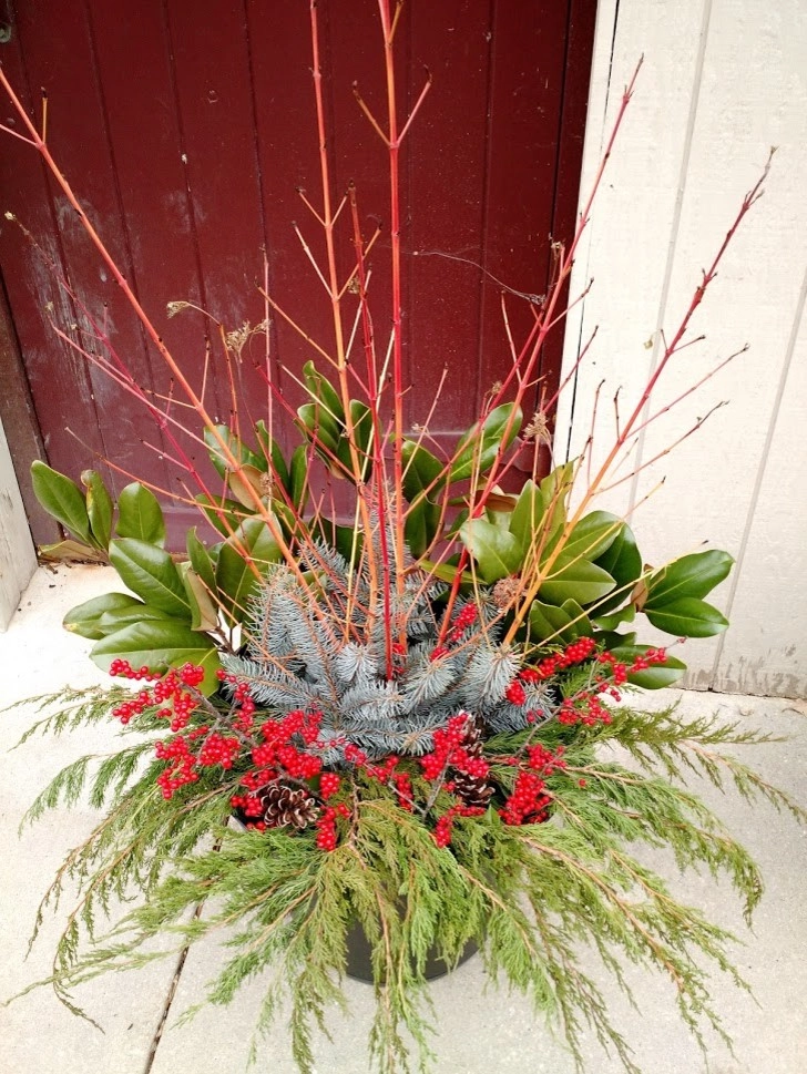 Winter Planters by Pickel Landscape Group - Photo 15