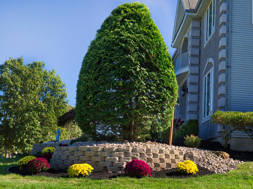 Replacing 15 Year Old Landscaping - Manalapan, NJ by Picture Perfect Landscaping & Outdoor Construction - Photo 6