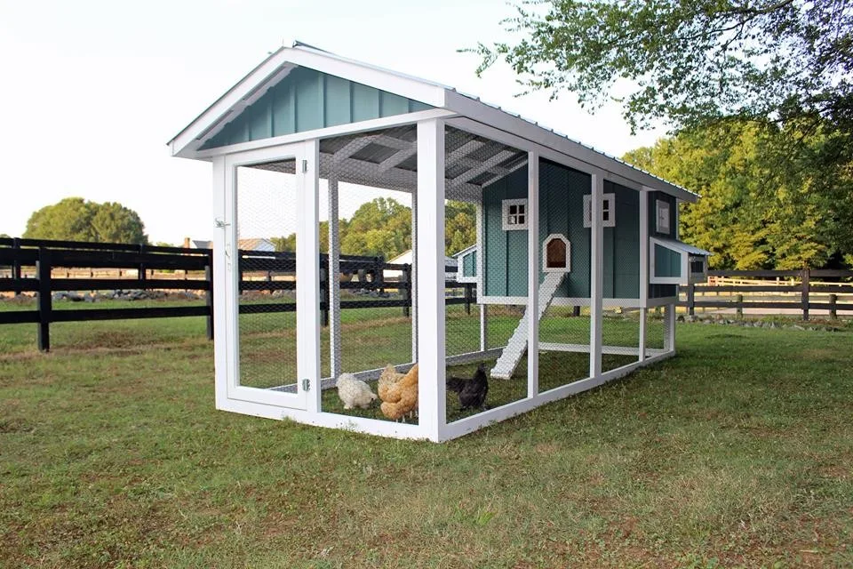 Carolina Chicken Shelter by Carolina Coops - Photo 2
