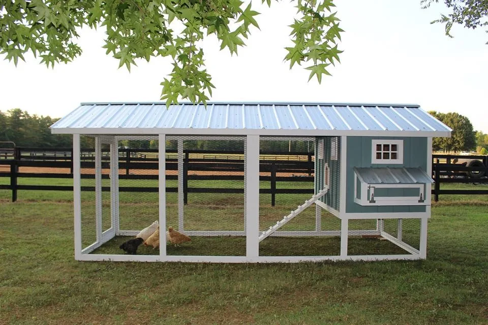 Carolina Chicken Shelter by Carolina Coops - Photo 23