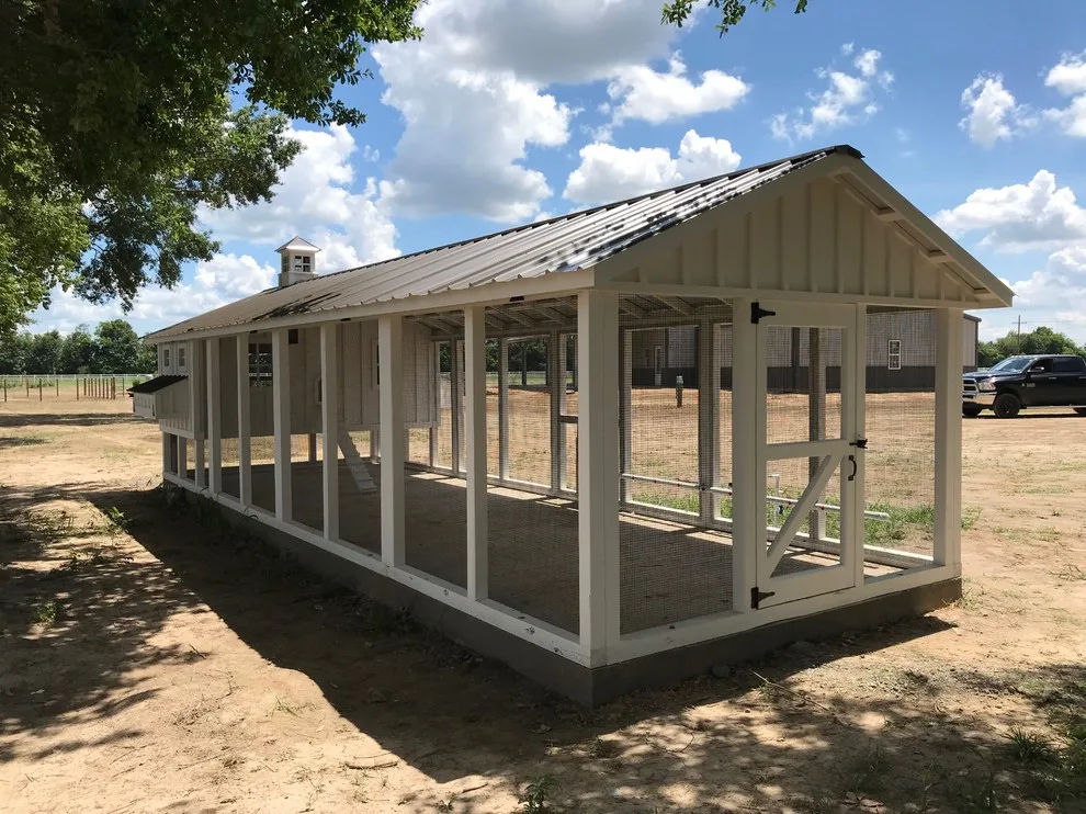 Carolina Chicken Shelter by Carolina Coops - Photo 12