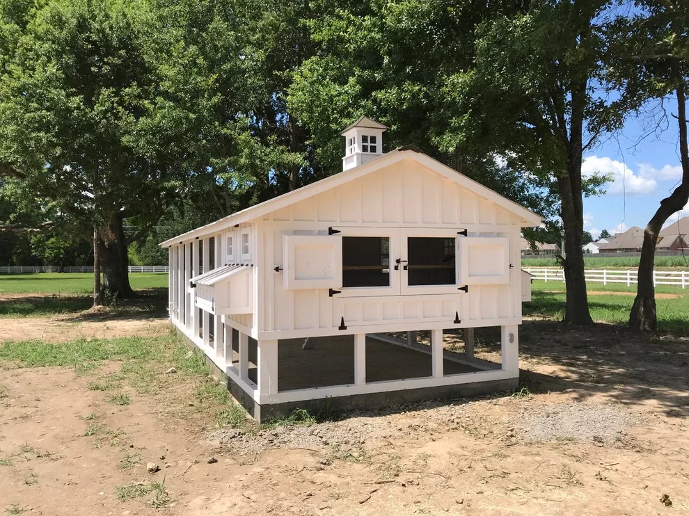 Carolina Chicken Shelter by Carolina Coops - Photo 19