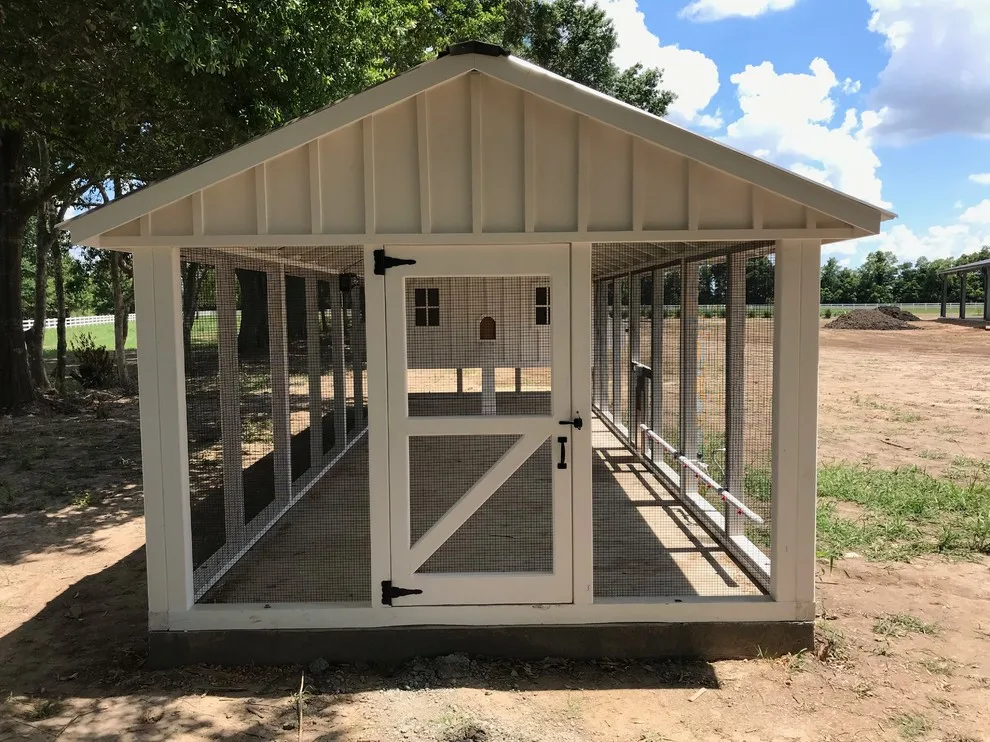 Carolina Chicken Shelter by Carolina Coops - Photo 6
