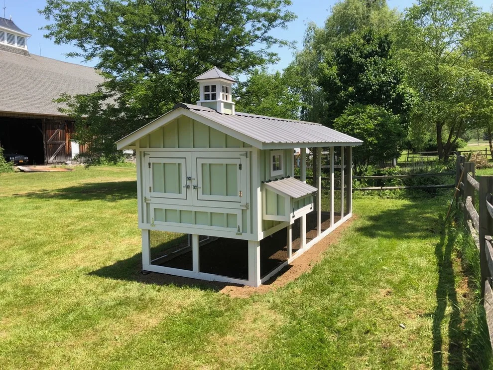 Carolina Chicken Shelter by Carolina Coops - Photo 26