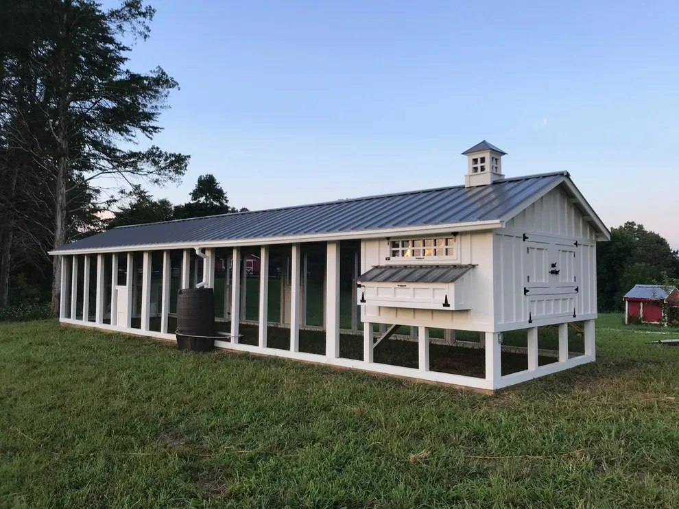 Carolina Chicken Shelter by Carolina Coops - Photo 20