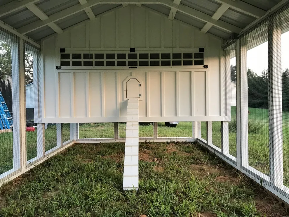 Carolina Chicken Shelter by Carolina Coops - Photo 5