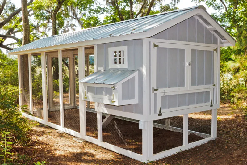 Carolina Chicken Shelter by Carolina Coops - Photo 21