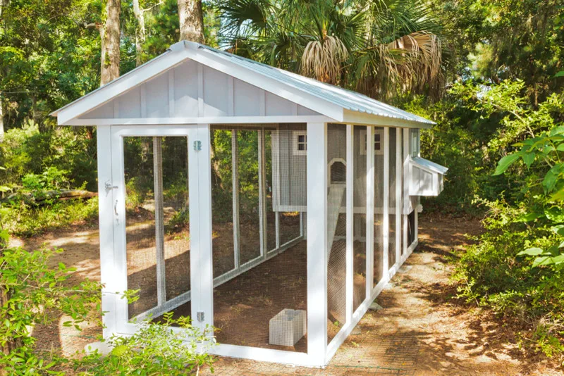Carolina Chicken Shelter by Carolina Coops - Photo 14