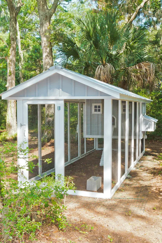 Carolina Chicken Shelter by Carolina Coops - Photo 9