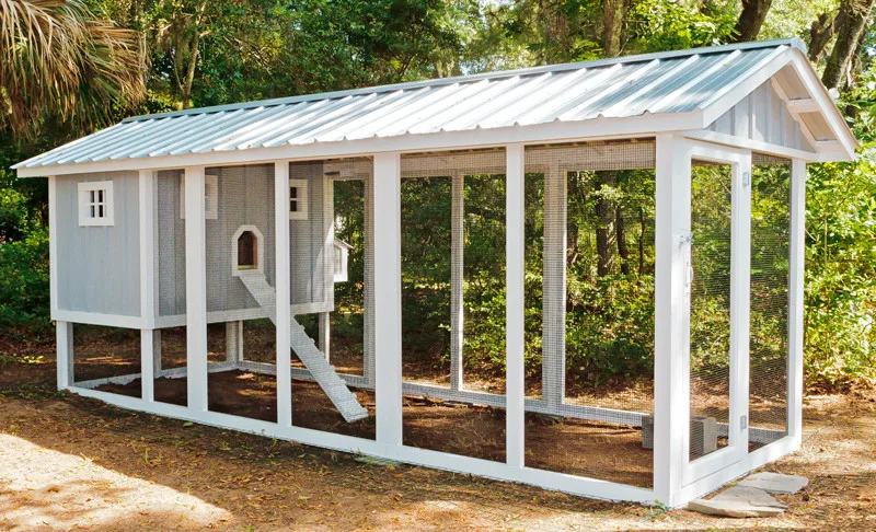 Carolina Chicken Shelter by Carolina Coops - Photo 24