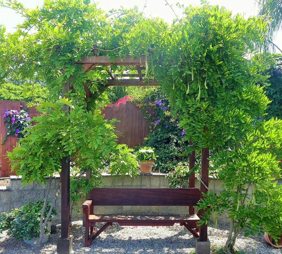 Arbors by Forever Redwood - Photo 23