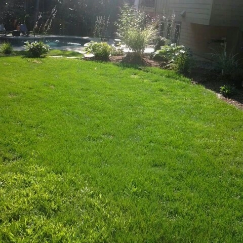 Before and After Projects by Pine Ridge Lawn & Landscape, LLC - Photo 8