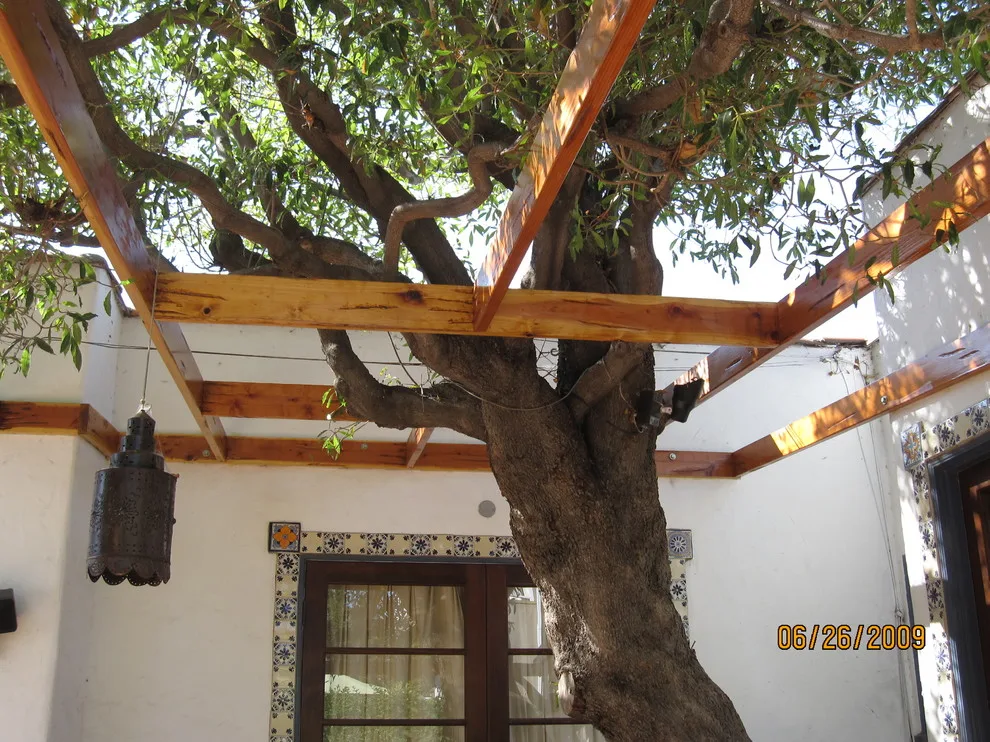 Outdoor Shade Structure by Danny Deck Construction, Inc. - Photo 25