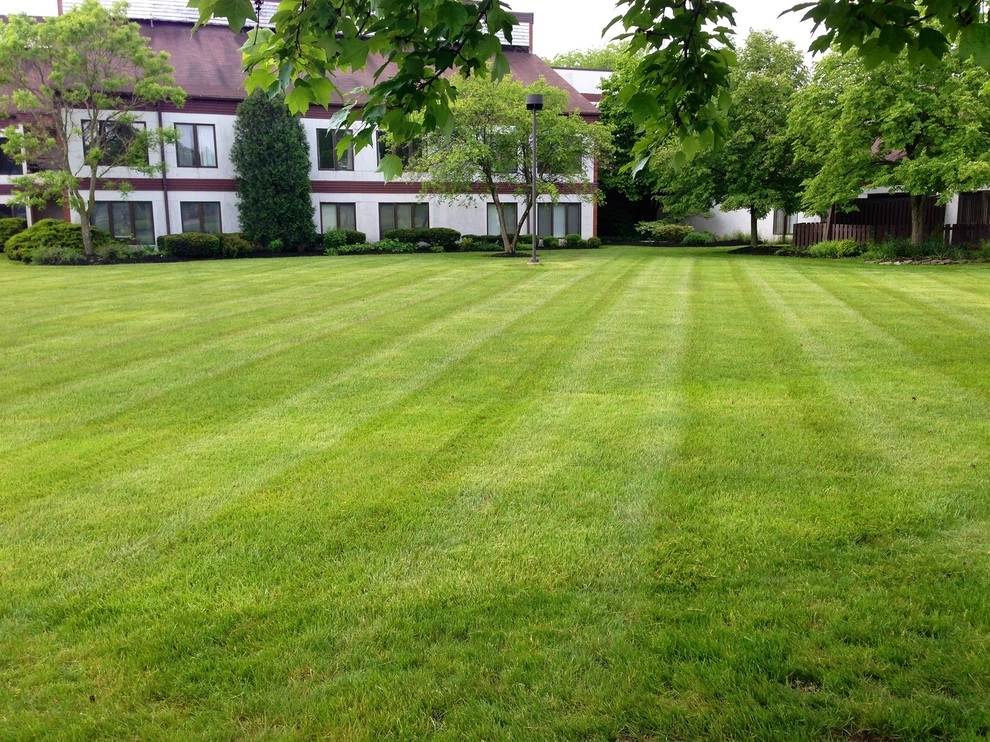 Pinnacle Landscaping - Photo 5