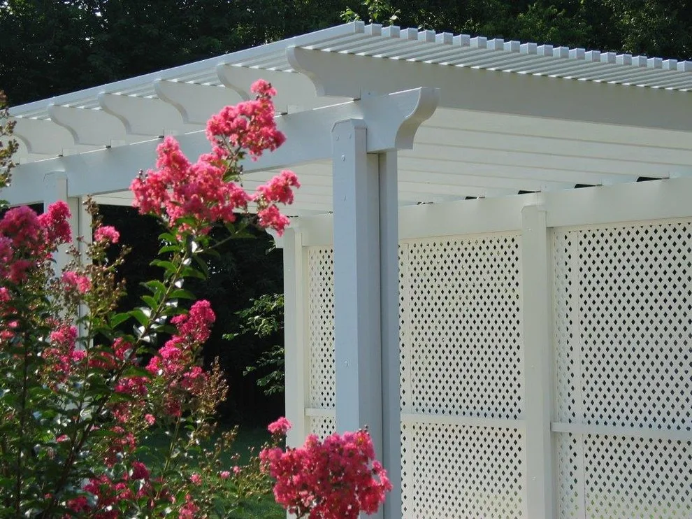 Shade Structures by Patio Plus - Photo 3