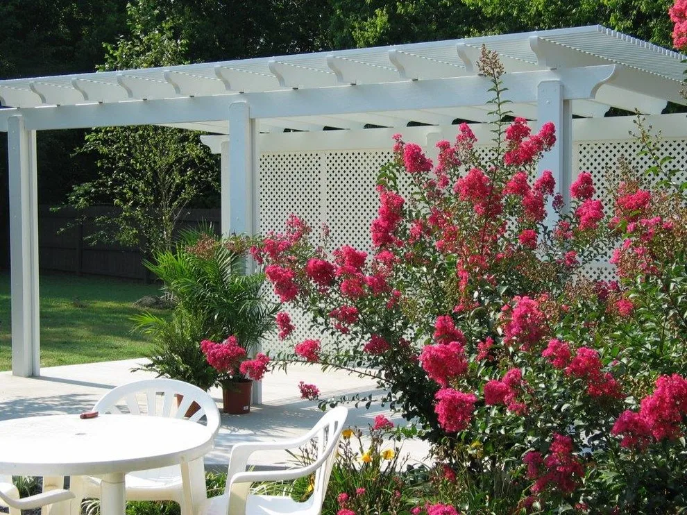 Shade Structures by Patio Plus - Photo 4