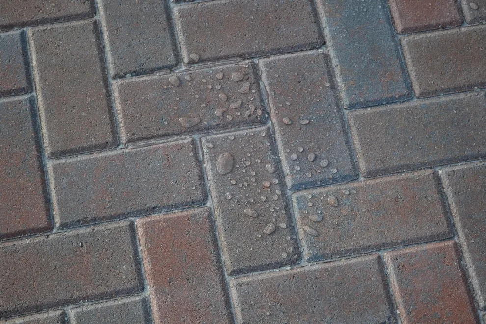 Polymeric Abrasive by Renew Crew Of Palm Beach County - Photo 2