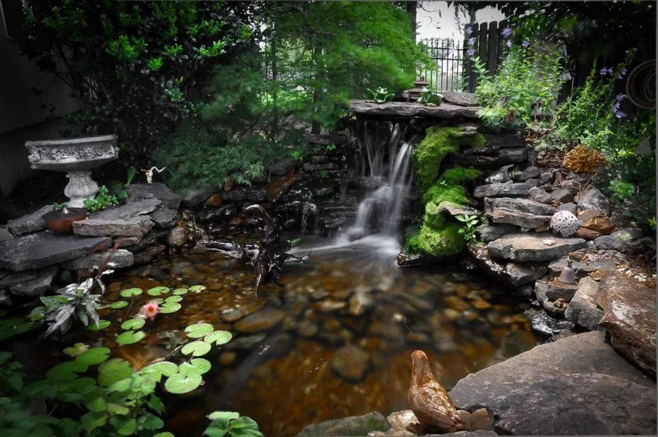 Water Feature by Carter's Nursery, Pond & Patio - Photo 7
