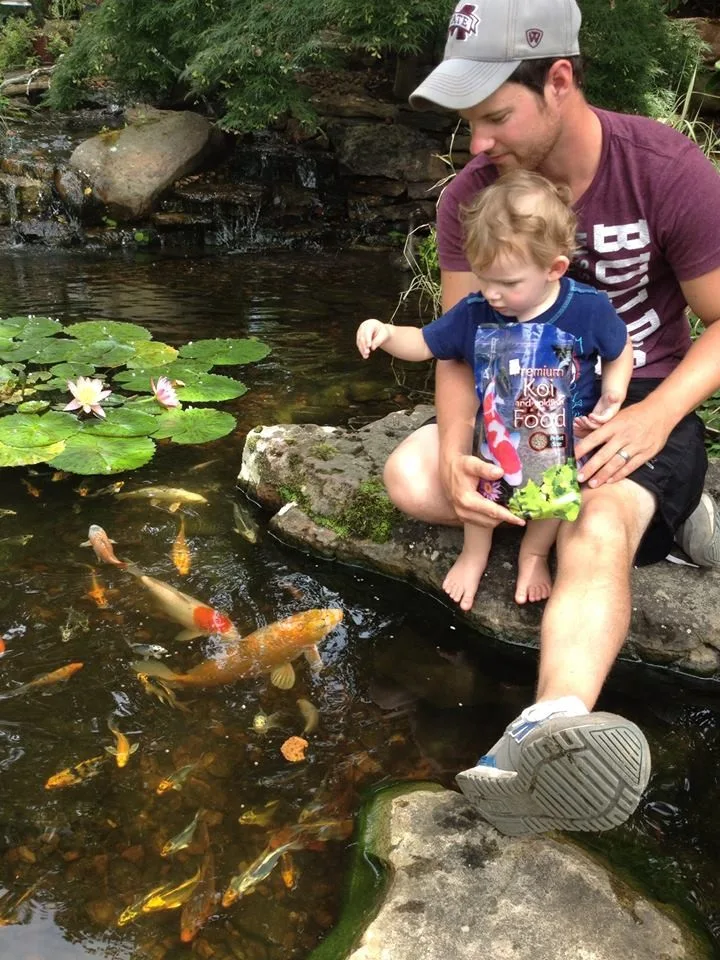 Water Feature by Carter's Nursery, Pond & Patio - Photo 5