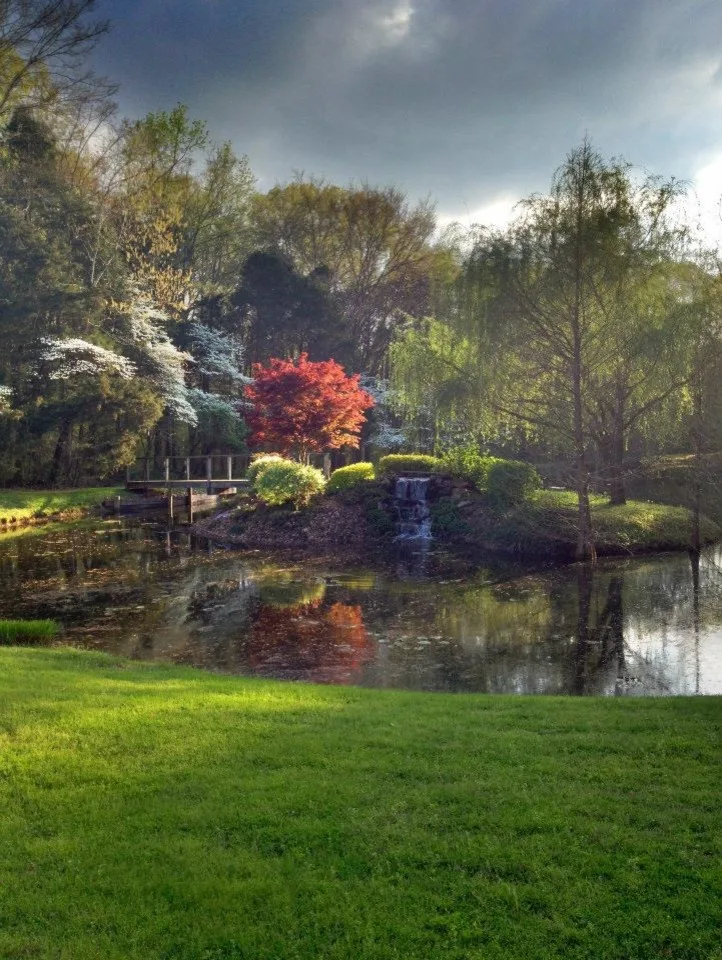 Water Feature by Carter's Nursery, Pond & Patio - Photo 3
