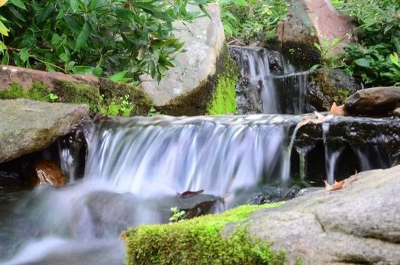 Water Features Without Ponds - Various Designs and Builds by Me by Carter's Nursery, Pond & Patio - Photo 3