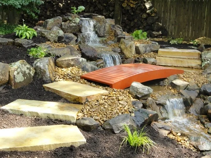 Carter's Nursery, Pond & Patio - Photo 3
