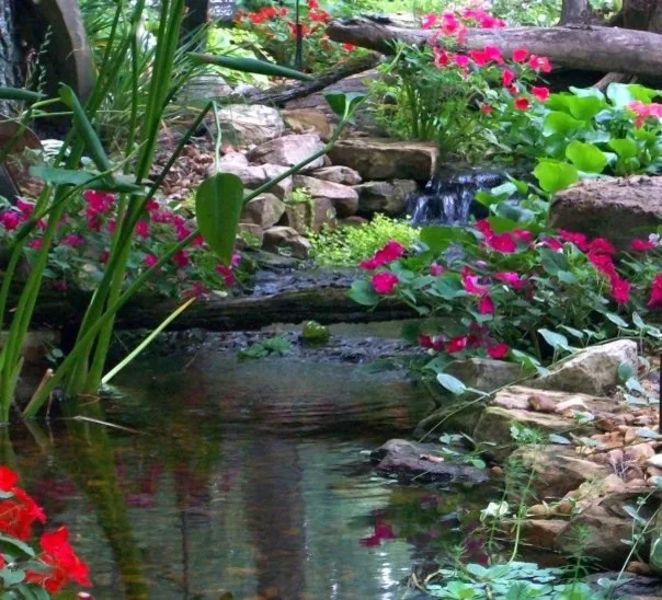 Water Features Without Ponds - Various Designs and Builds by Me by Carter's Nursery, Pond & Patio - Photo 4
