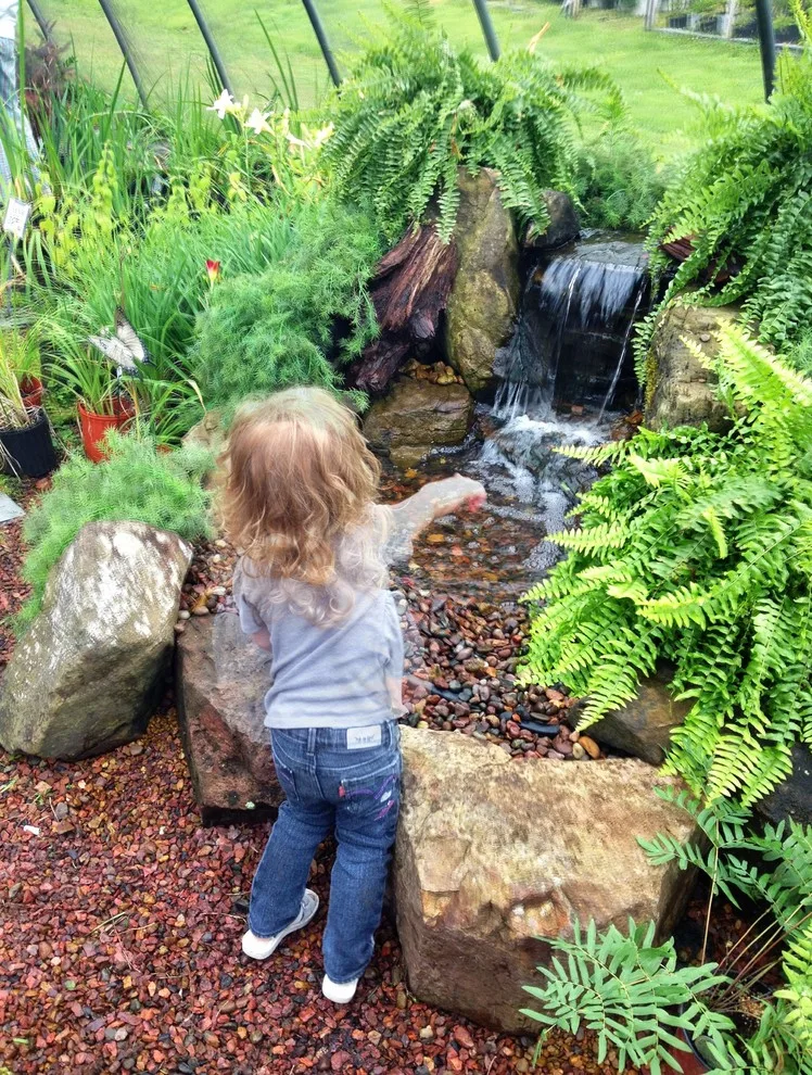 Carter's Nursery, Pond & Patio - Photo 5