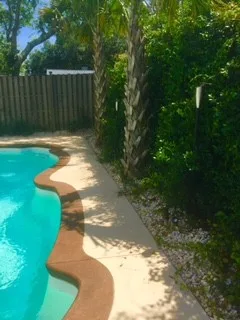 Decking and Coping for Pools with Colored Concrete by Carolina Scape Artists, LLC - Photo 19