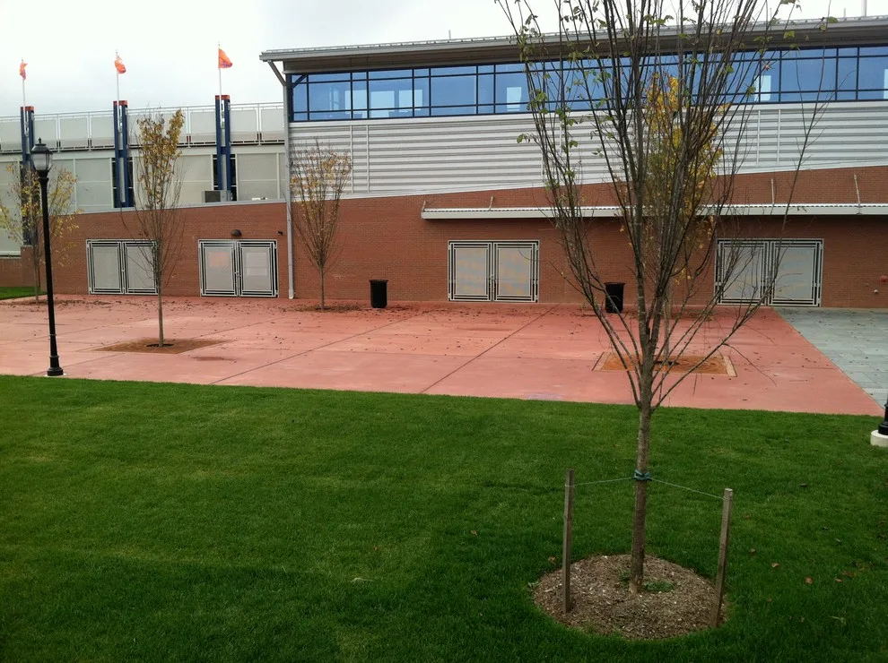 Decking and Coping for Pools with Colored Concrete by Carolina Scape Artists, LLC - Photo 2