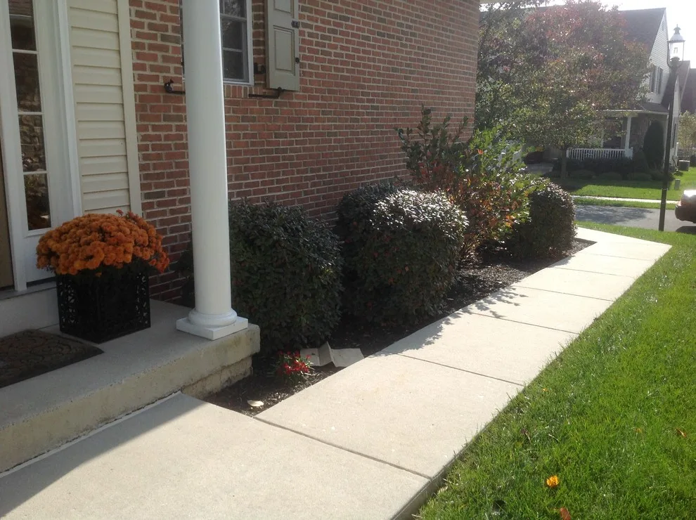 Carolina Scape Artists, LLC - Photo 3