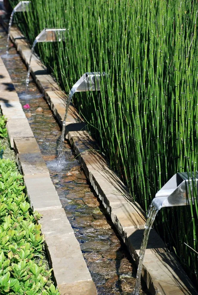 Aquatic Element by Ewing Pool & Spa - Photo 26