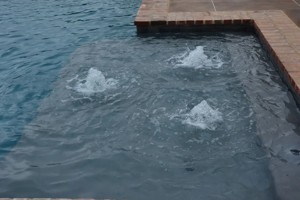Aquatic Element by Ewing Pool & Spa - Photo 24