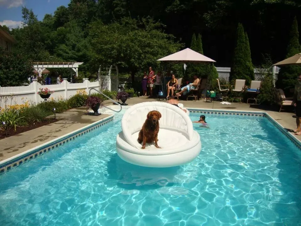 Vinyl Lined Swimming Pools by Under The Sun Improvements - Photo 2