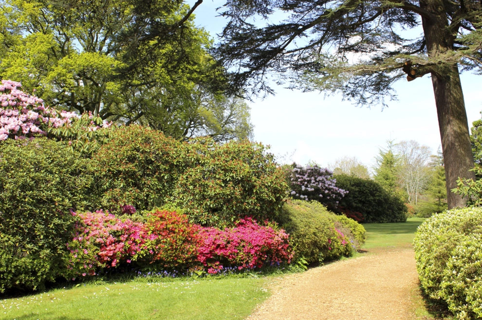 Plastino & Son Landscape Contractors - Photo 8