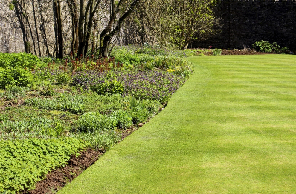 Plastino & Son Landscape Contractors - Photo 6