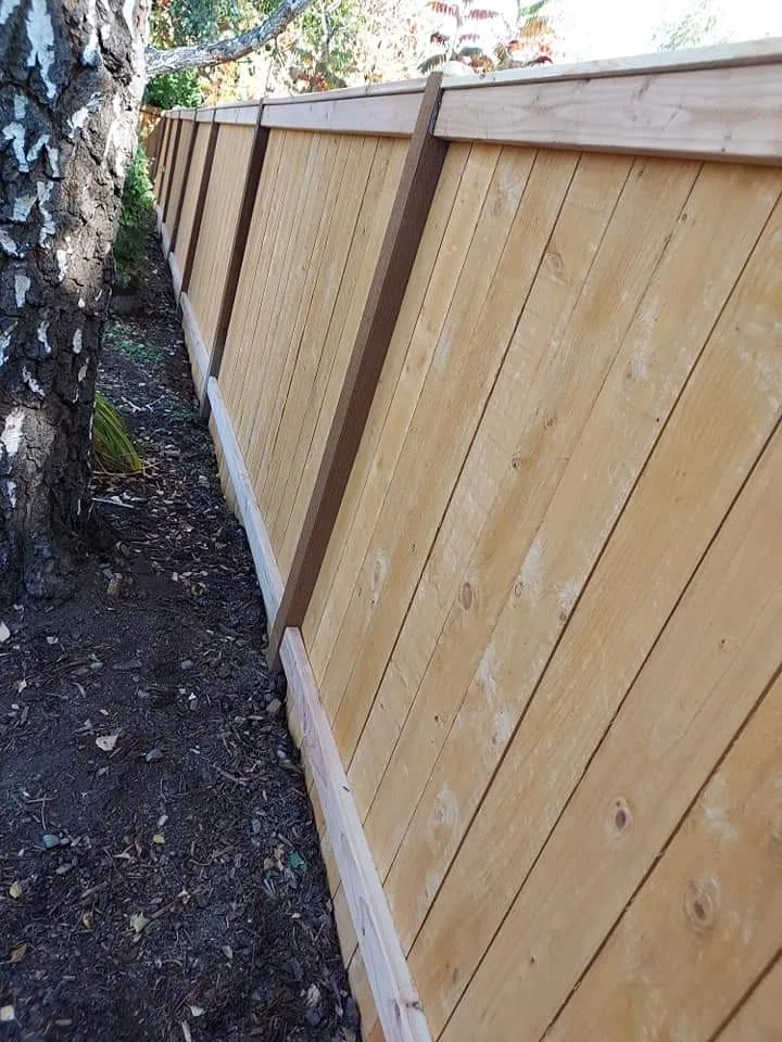 Landscaping Initiatives by S&B General Contracting LLC - Photo 3