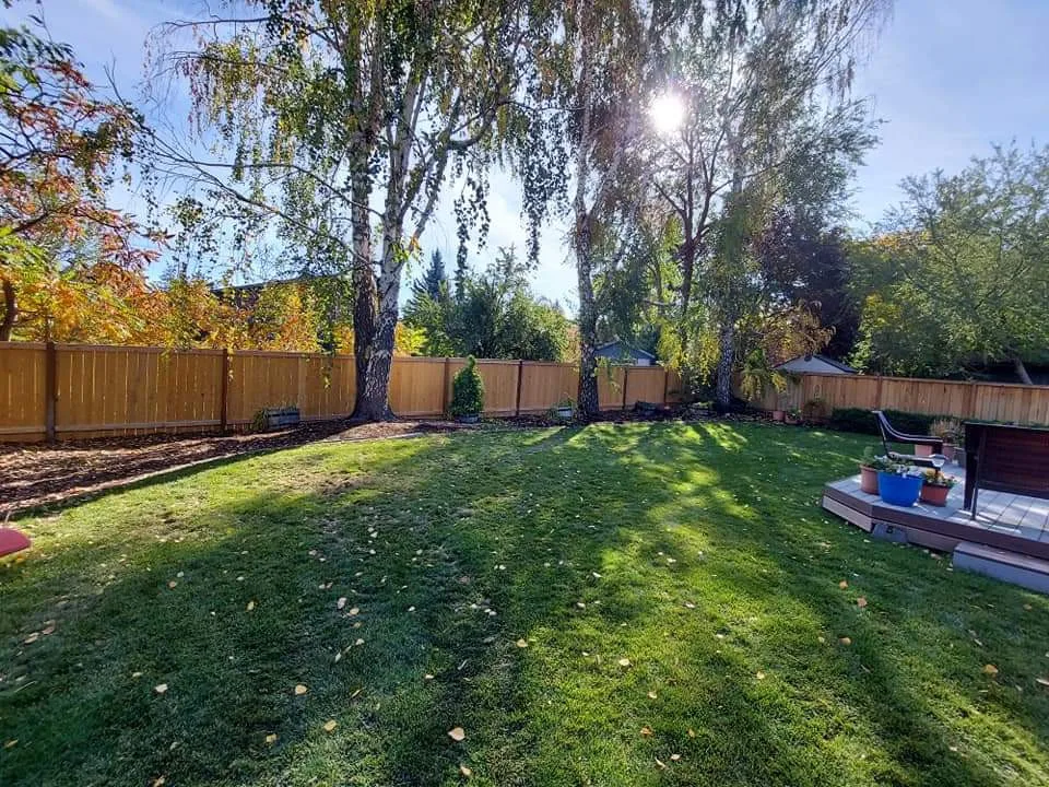 Landscaping Initiatives by S&B General Contracting LLC - Photo 5