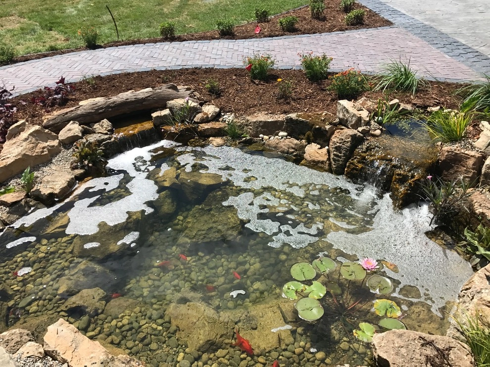 Koi Pond and Paver Patio Muskegon MI by Platinum Ponds & Landscaping - Photo 13