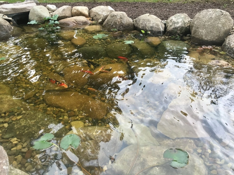 Koi Pond Kalamazoo, MI by Platinum Ponds & Landscaping - Photo 5