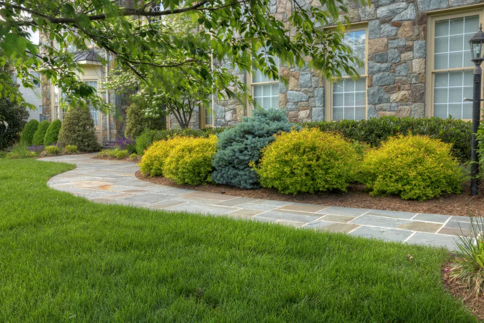 Revamped Outdoor Oasis by Deckscapes Of VA, LLC - Photo 2