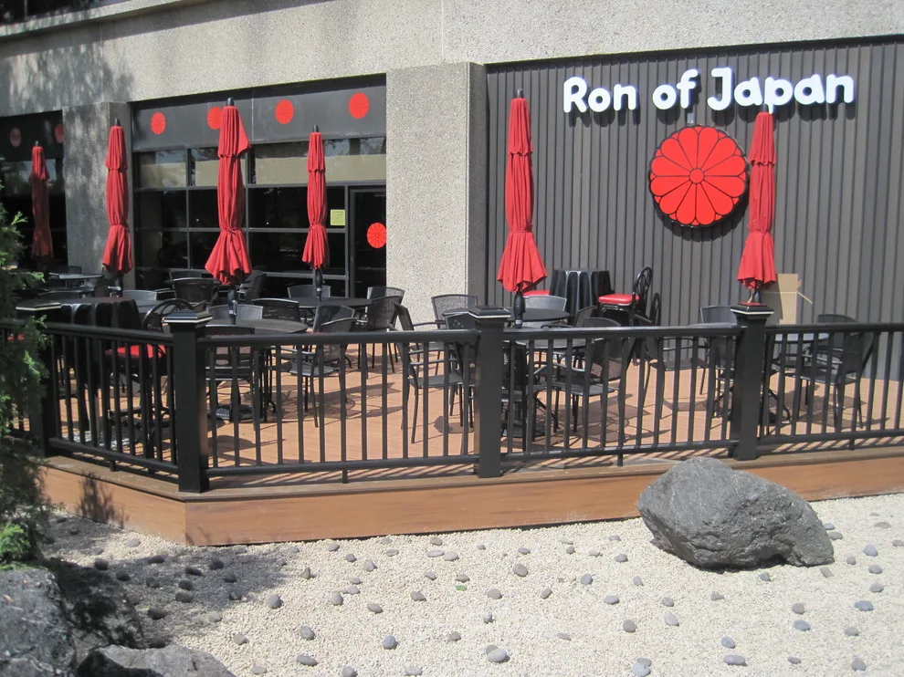 Ron from Japan Northbrook by Unique Deck Builders - Photo 4