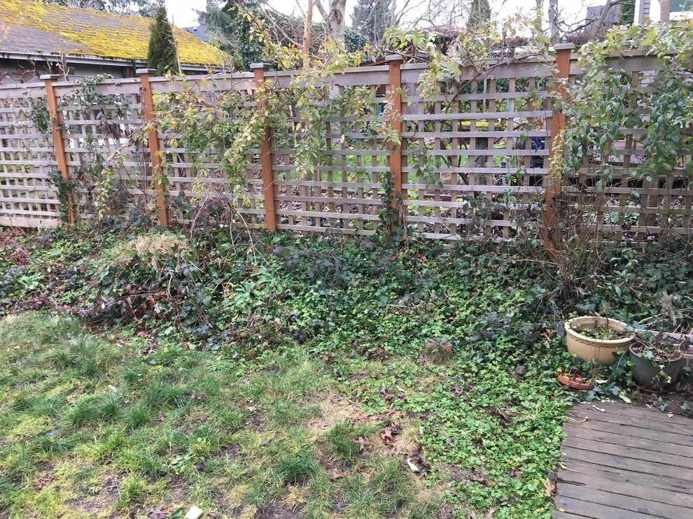 Seattle Landscape Transformation Spring 2017 by Plumb Landscapes Inc. - Photo 17