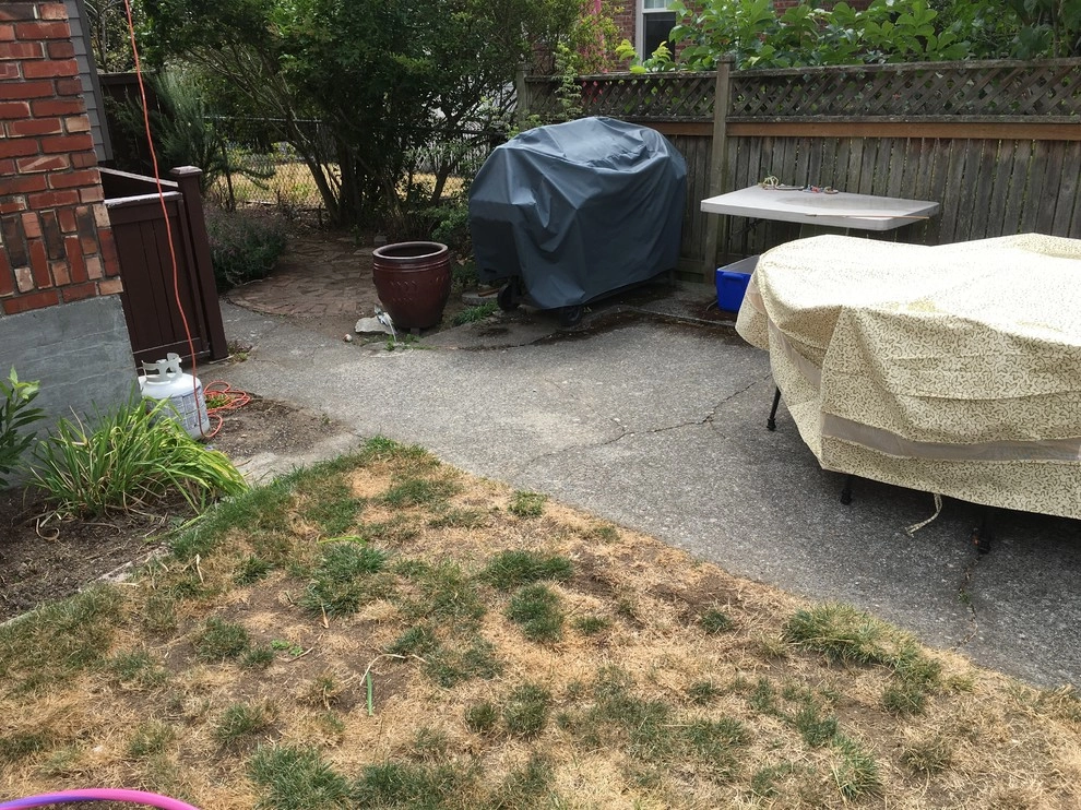 Seattle Back Yard Remodel Fall 2016 by Plumb Landscapes Inc. - Photo 19