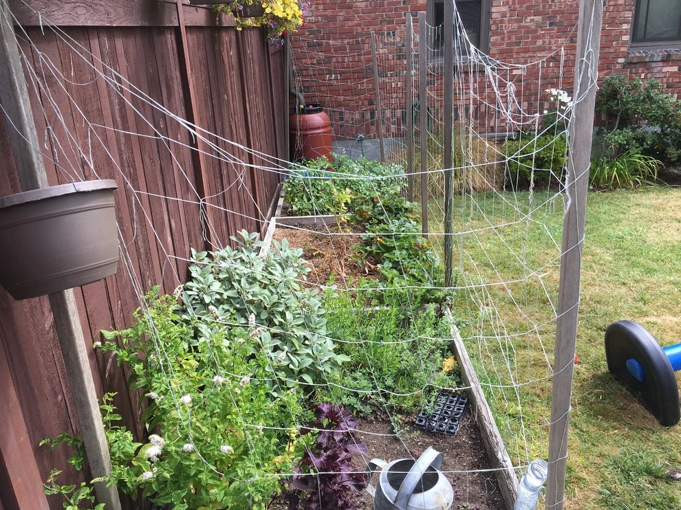 Seattle Back Yard Remodel Fall 2016 by Plumb Landscapes Inc. - Photo 14