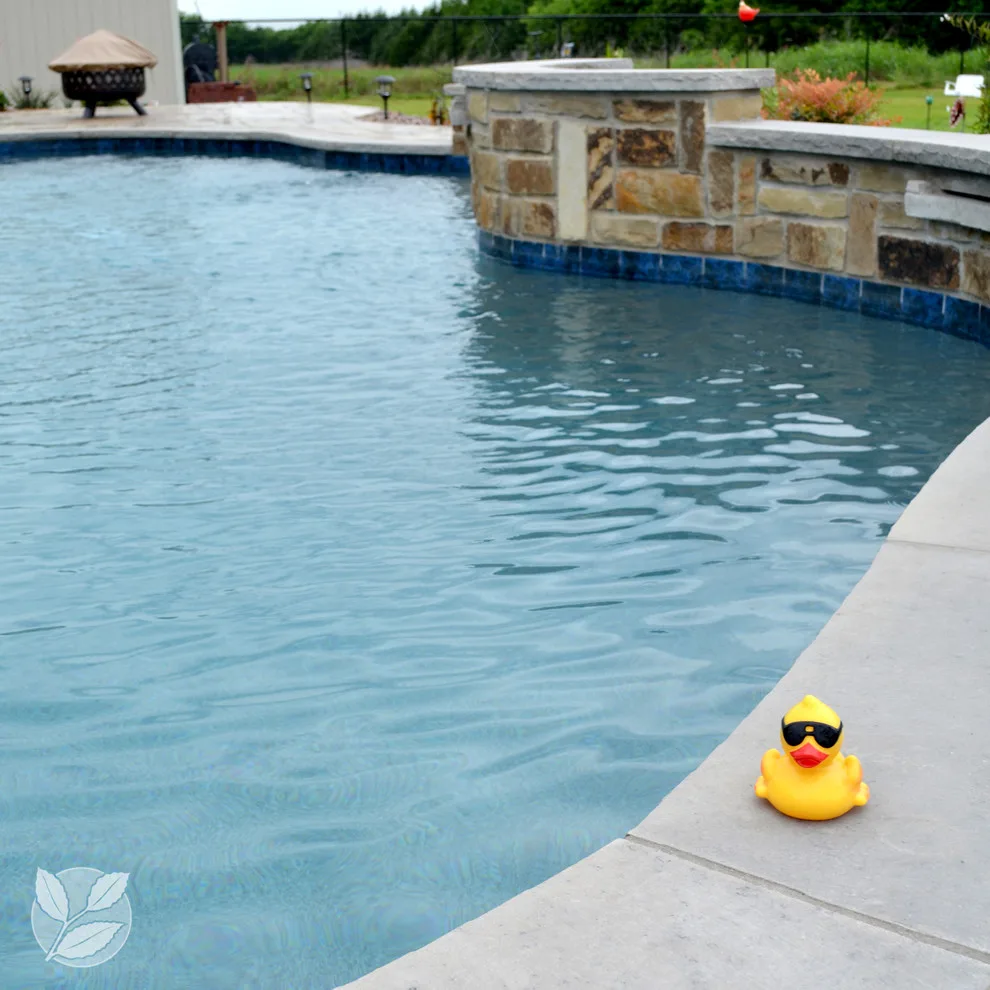 Royse City - Pool and Patio Shelter by Ortus Exteriors - Photo 5